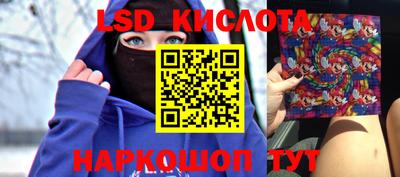 стафф Бердск
