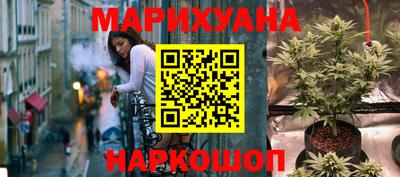 стафф Бердск