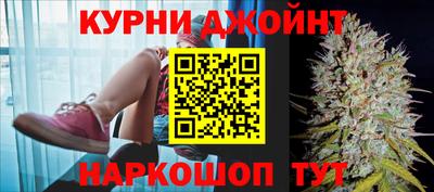 стафф Бердск