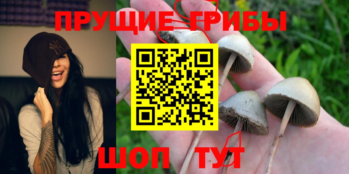 Клин  Галлюциногенные грибы мухоморы  Вход с VPN  Псилоцибиновые грибы мухоморы 