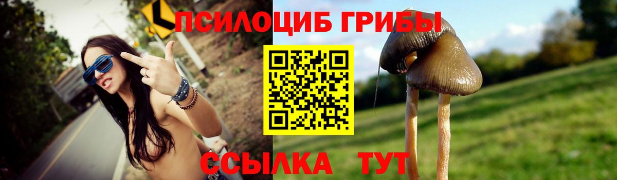 Псилоцибиновые грибы MAGIC MUSHROOMS Клин